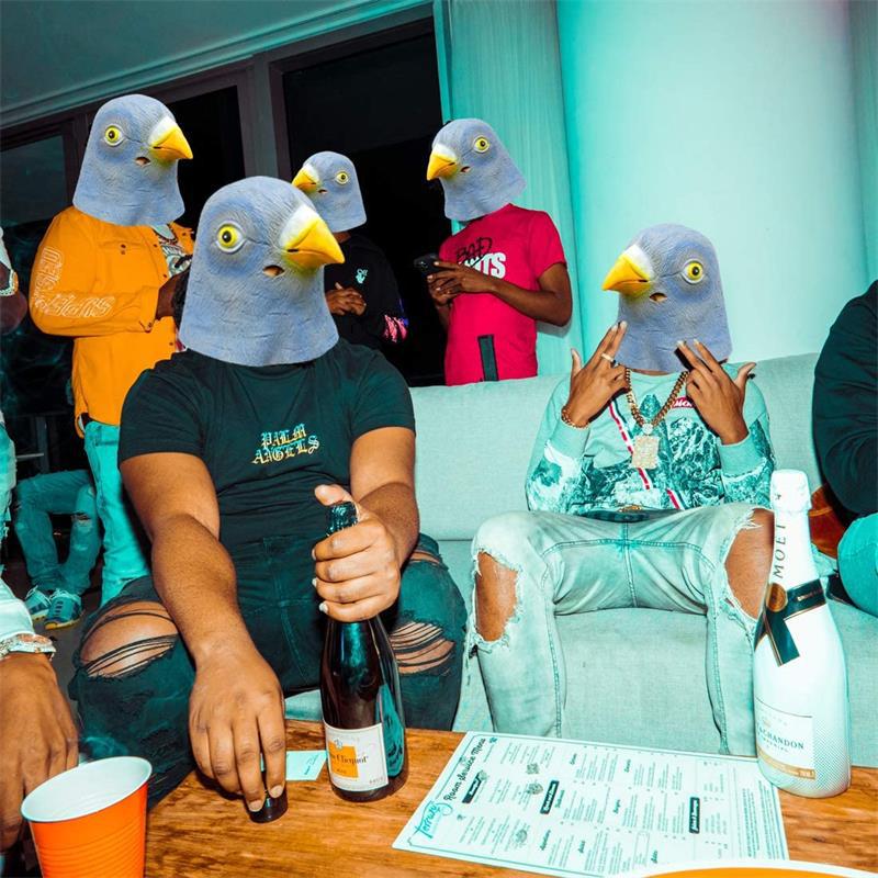 Маска-костюм голубя: Забавная  – обзор и цена Skincare Pigeon